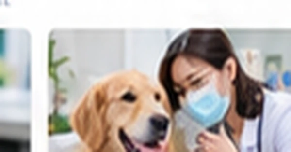 Dấu hiệu thú cưng cần đi khám