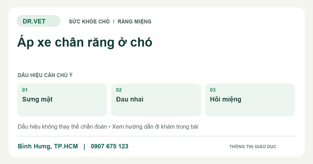 Đồ họa giáo dục: Áp xe chân răng ở chó – sưng mặt, đau nhai, hôi miệng. Không phải ảnh ca bệnh.