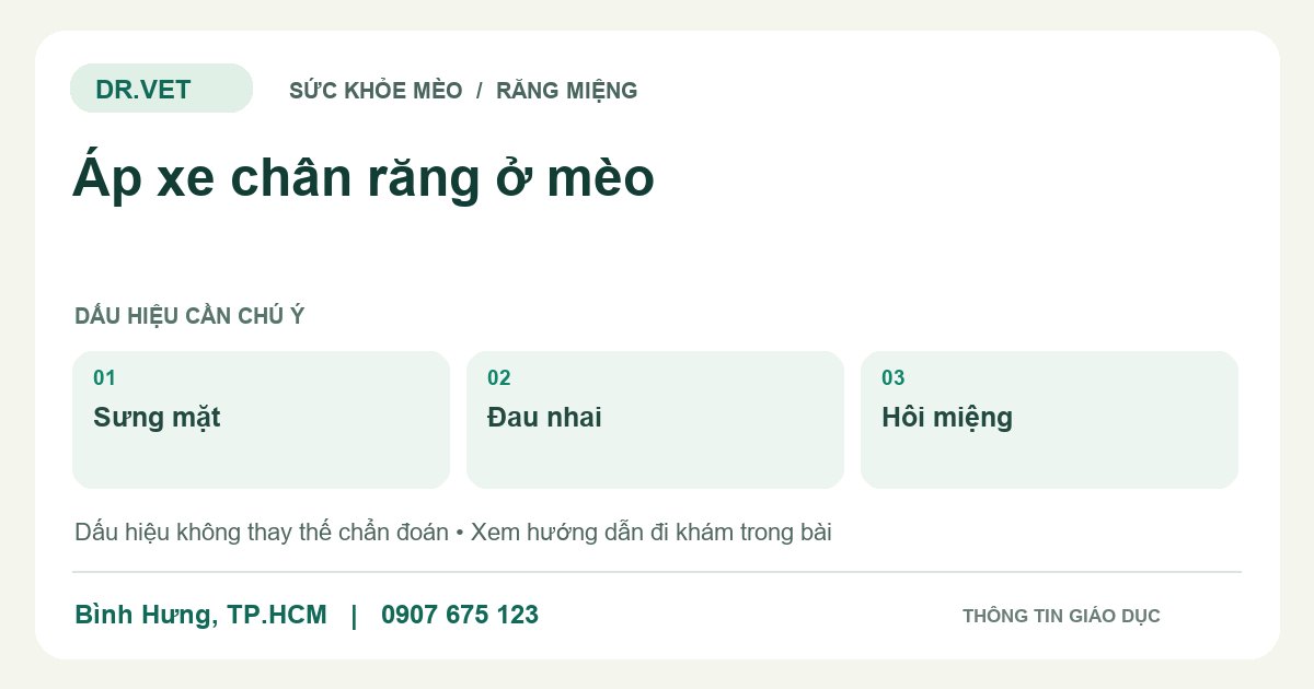 Đồ họa giáo dục: Áp xe chân răng ở mèo – sưng mặt, đau nhai, hôi miệng. Không phải ảnh ca bệnh.