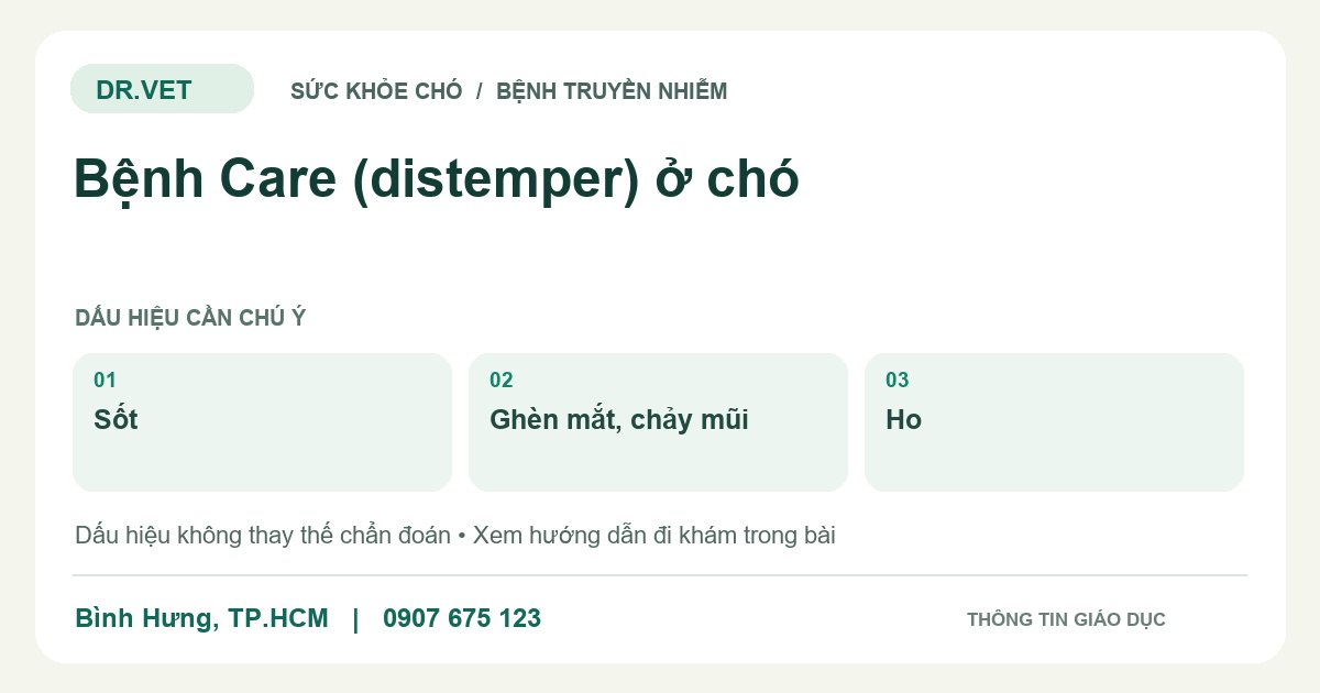 Đồ họa giáo dục: Bệnh Care (distemper) ở chó – sốt, ghèn mắt, chảy mũi, ho. Không phải ảnh ca bệnh.