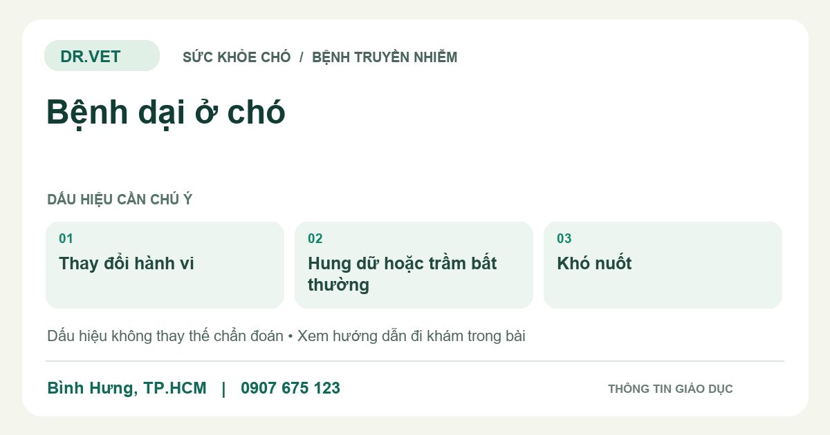 Đồ họa giáo dục: Bệnh dại ở chó – thay đổi hành vi, hung dữ hoặc trầm bất thường, khó nuốt. Không phải ảnh ca bệnh.