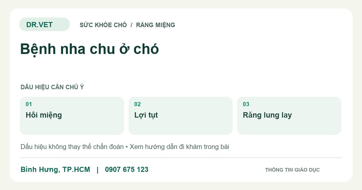 Đồ họa giáo dục: Bệnh nha chu ở chó – hôi miệng, lợi tụt, răng lung lay. Không phải ảnh ca bệnh.
