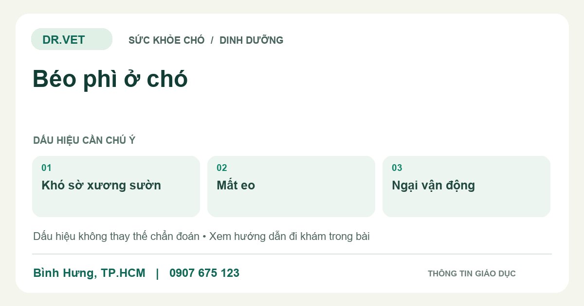 Đồ họa giáo dục: Béo phì ở chó – khó sờ xương sườn, mất eo, ngại vận động. Không phải ảnh ca bệnh.