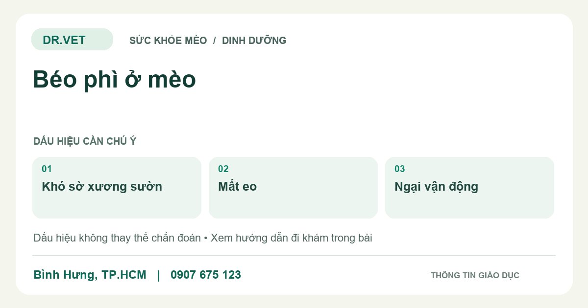 Đồ họa giáo dục: Béo phì ở mèo – khó sờ xương sườn, mất eo, ngại vận động. Không phải ảnh ca bệnh.