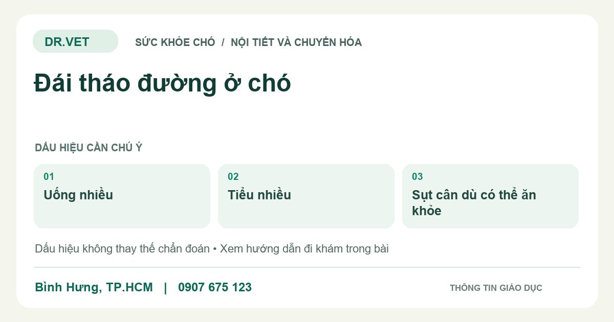 Đồ họa giáo dục: Đái tháo đường ở chó – uống nhiều, tiểu nhiều, sụt cân dù có thể ăn khỏe. Không phải ảnh ca bệnh.