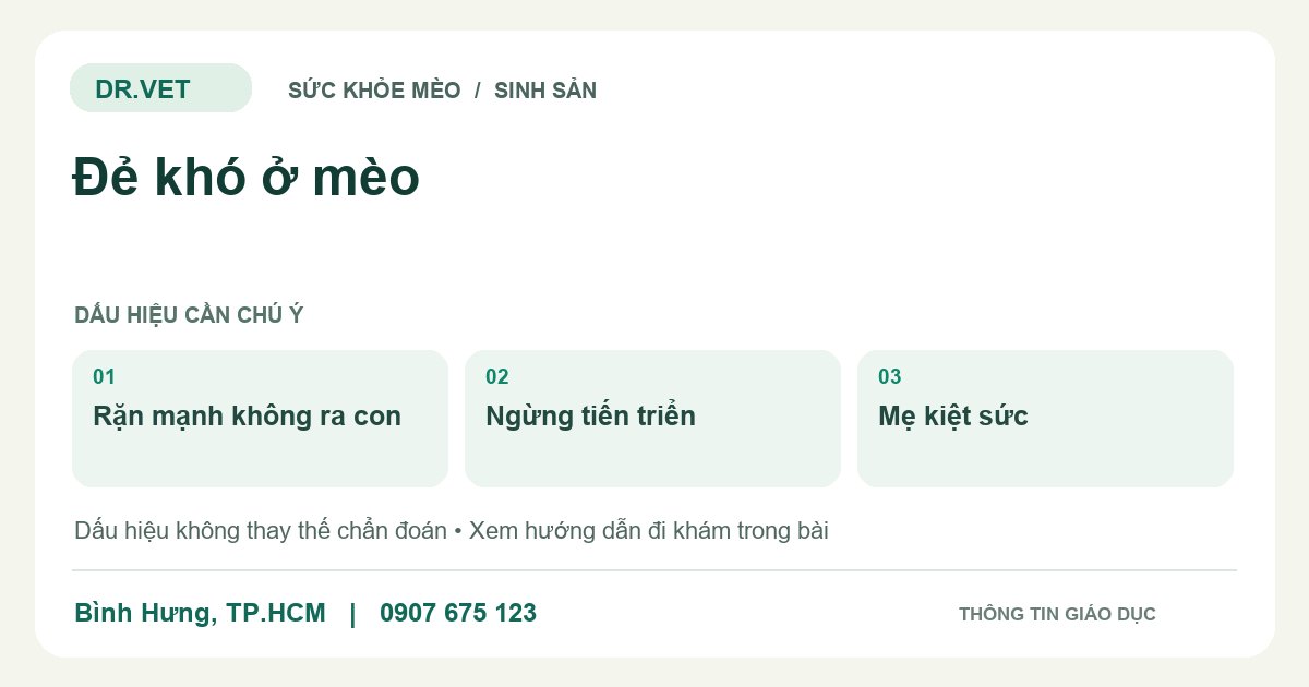 Đồ họa giáo dục: Đẻ khó ở mèo – rặn mạnh không ra con, ngừng tiến triển, mẹ kiệt sức. Không phải ảnh ca bệnh.