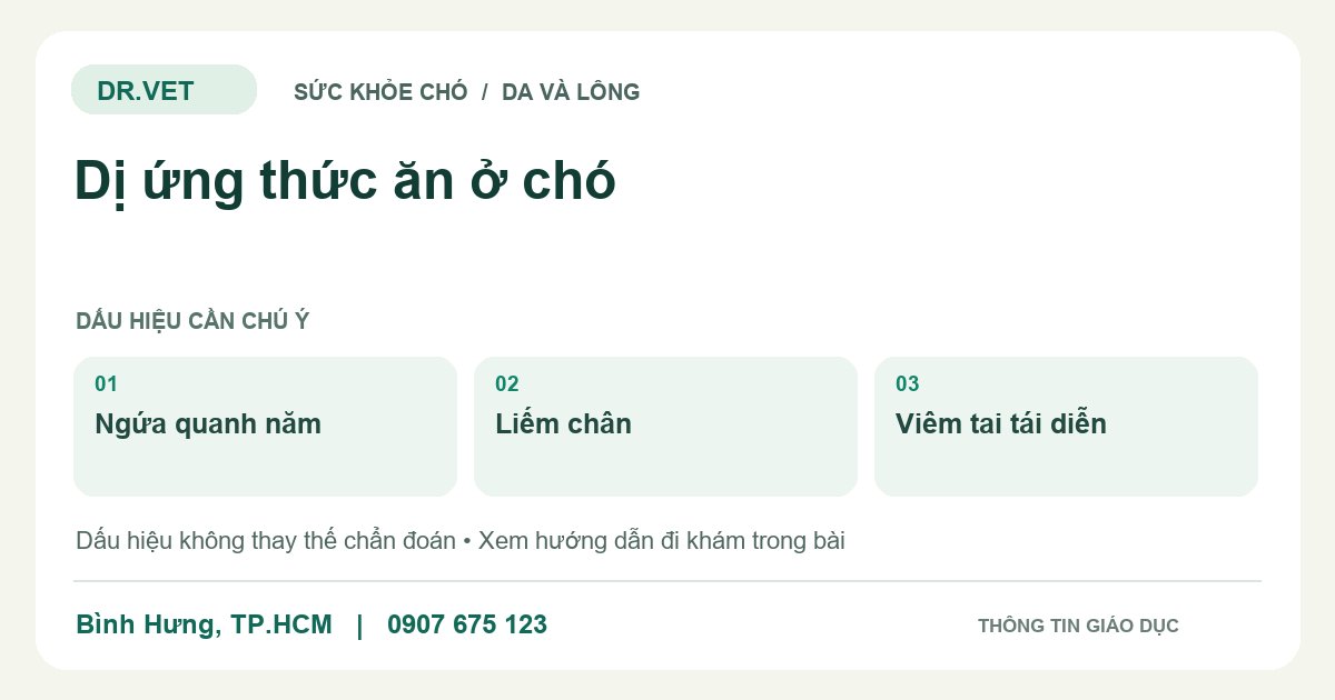 Đồ họa giáo dục: Dị ứng thức ăn ở chó – ngứa quanh năm, liếm chân, viêm tai tái diễn. Không phải ảnh ca bệnh.