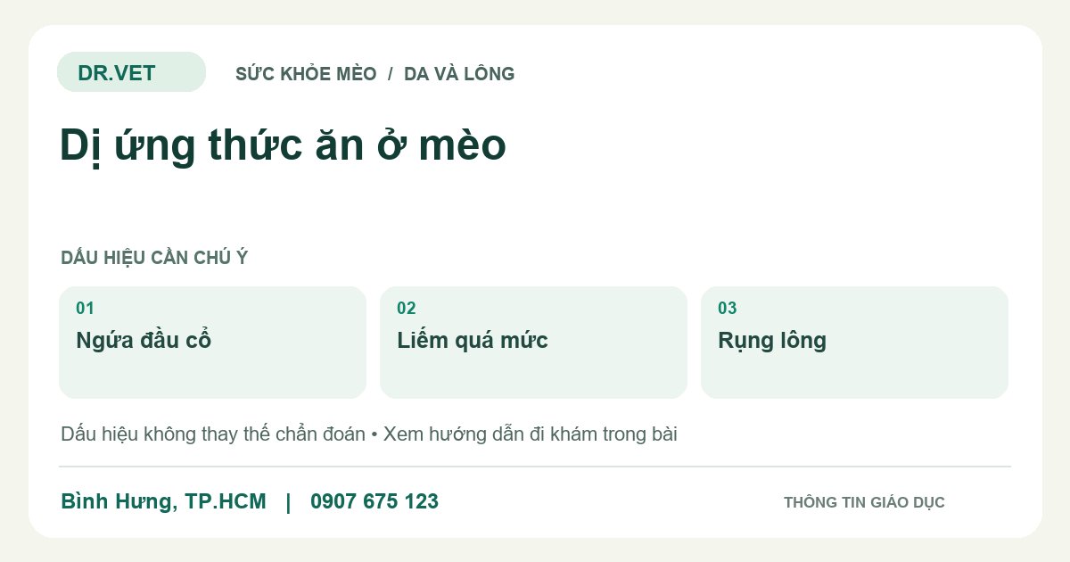 Đồ họa giáo dục: Dị ứng thức ăn ở mèo – ngứa đầu cổ, liếm quá mức, rụng lông. Không phải ảnh ca bệnh.
