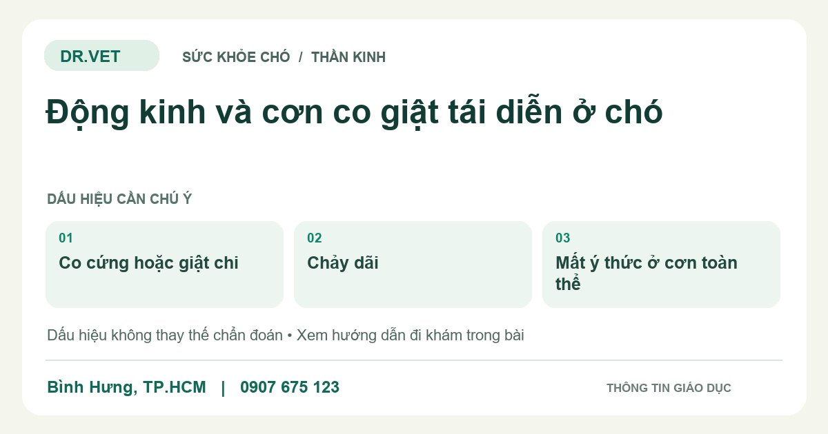 Đồ họa giáo dục: Động kinh và cơn co giật tái diễn ở chó – co cứng hoặc giật chi, chảy dãi, mất ý thức ở cơn toàn thể. Không phải ảnh ca bệnh.