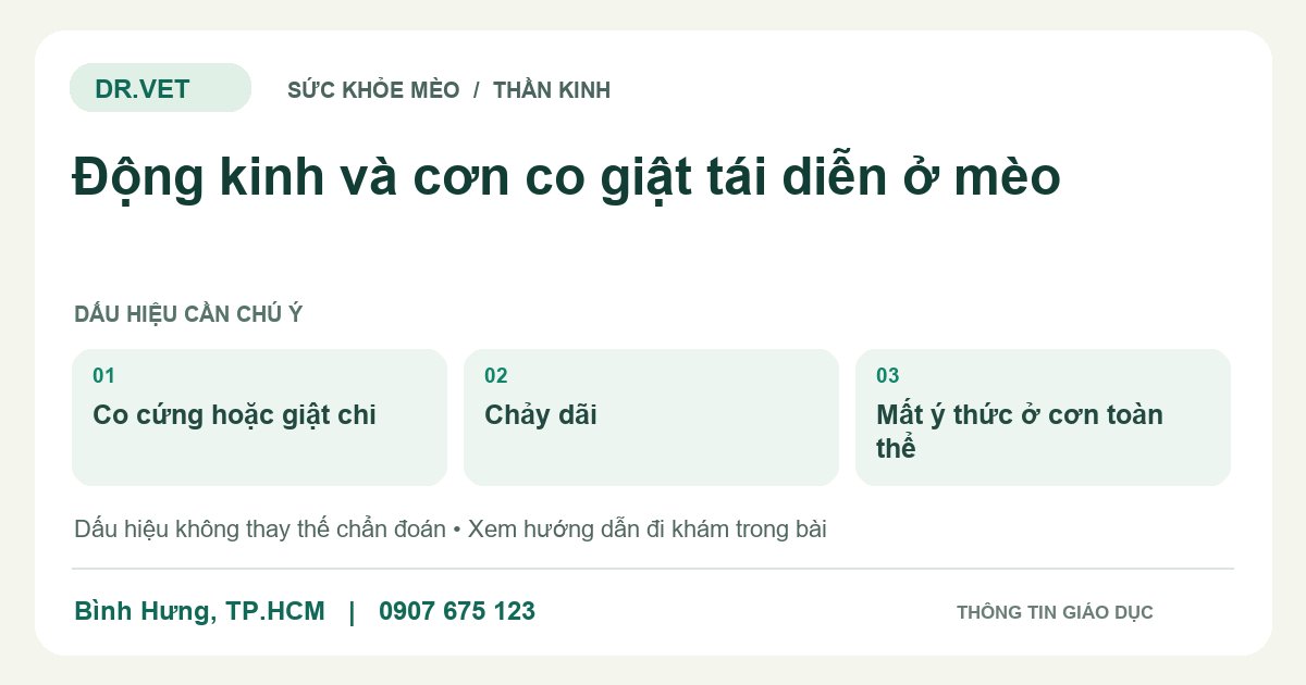 Đồ họa giáo dục: Động kinh và cơn co giật tái diễn ở mèo – co cứng hoặc giật chi, chảy dãi, mất ý thức ở cơn toàn thể. Không phải ảnh ca bệnh.