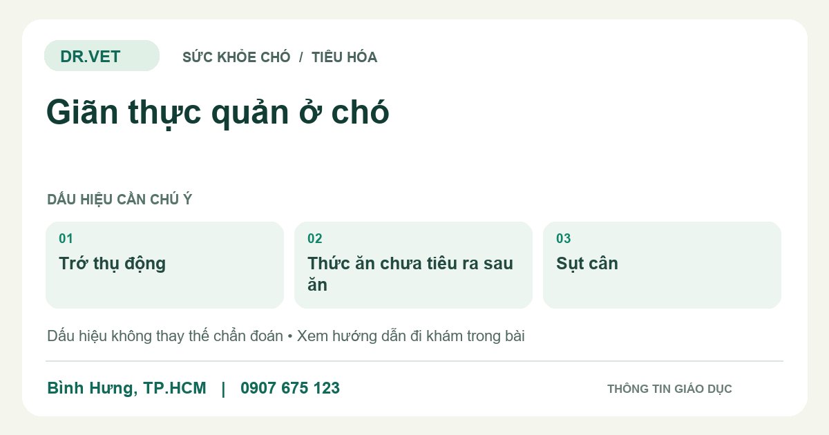 Đồ họa giáo dục: Giãn thực quản ở chó – trớ thụ động, thức ăn chưa tiêu ra sau ăn, sụt cân. Không phải ảnh ca bệnh.