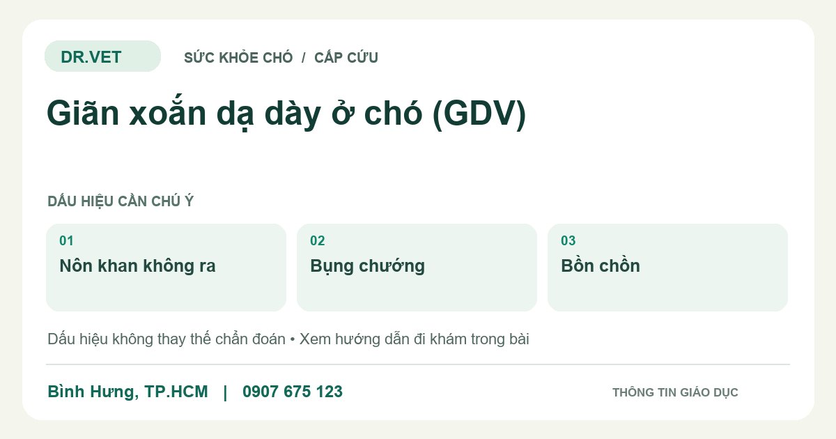 Đồ họa giáo dục: Giãn xoắn dạ dày ở chó (GDV) – nôn khan không ra, bụng chướng, bồn chồn. Không phải ảnh ca bệnh.