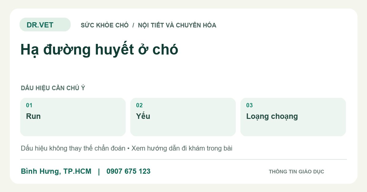 Đồ họa giáo dục: Hạ đường huyết ở chó – run, yếu, loạng choạng. Không phải ảnh ca bệnh.