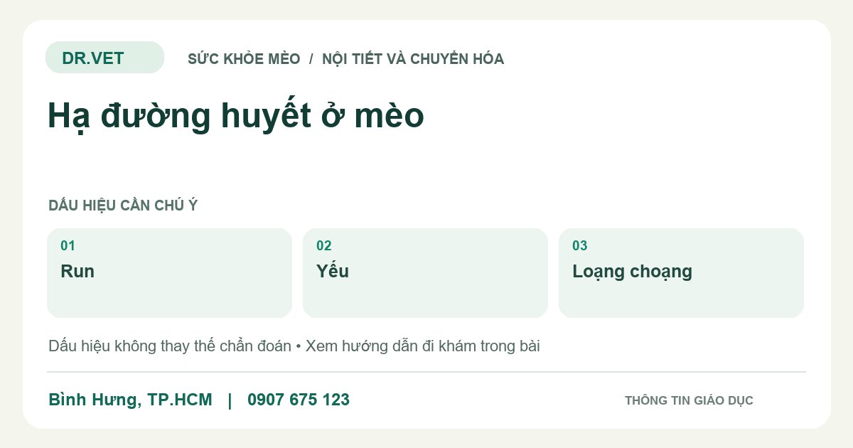 Đồ họa giáo dục: Hạ đường huyết ở mèo – run, yếu, loạng choạng. Không phải ảnh ca bệnh.