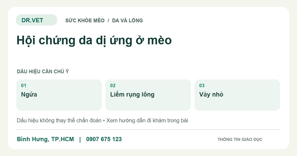 Đồ họa giáo dục: Hội chứng da dị ứng ở mèo – ngứa, liếm rụng lông, vảy nhỏ. Không phải ảnh ca bệnh.