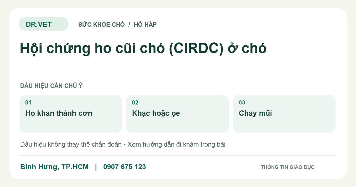 Đồ họa giáo dục: Hội chứng ho cũi chó (CIRDC) ở chó – ho khan thành cơn, khạc hoặc ọe, chảy mũi. Không phải ảnh ca bệnh.