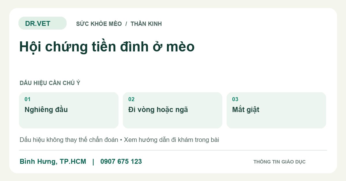 Đồ họa giáo dục: Hội chứng tiền đình ở mèo – nghiêng đầu, đi vòng hoặc ngã, mắt giật. Không phải ảnh ca bệnh.