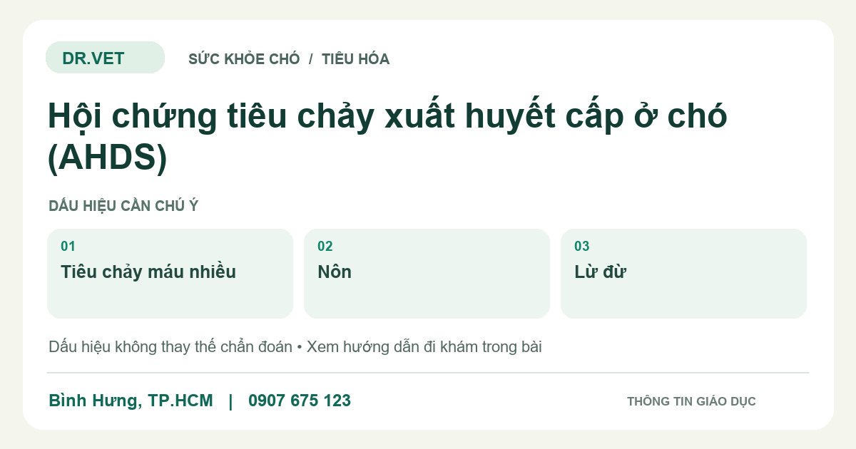Đồ họa giáo dục: Hội chứng tiêu chảy xuất huyết cấp ở chó (AHDS) – tiêu chảy máu nhiều, nôn, lừ đừ. Không phải ảnh ca bệnh.