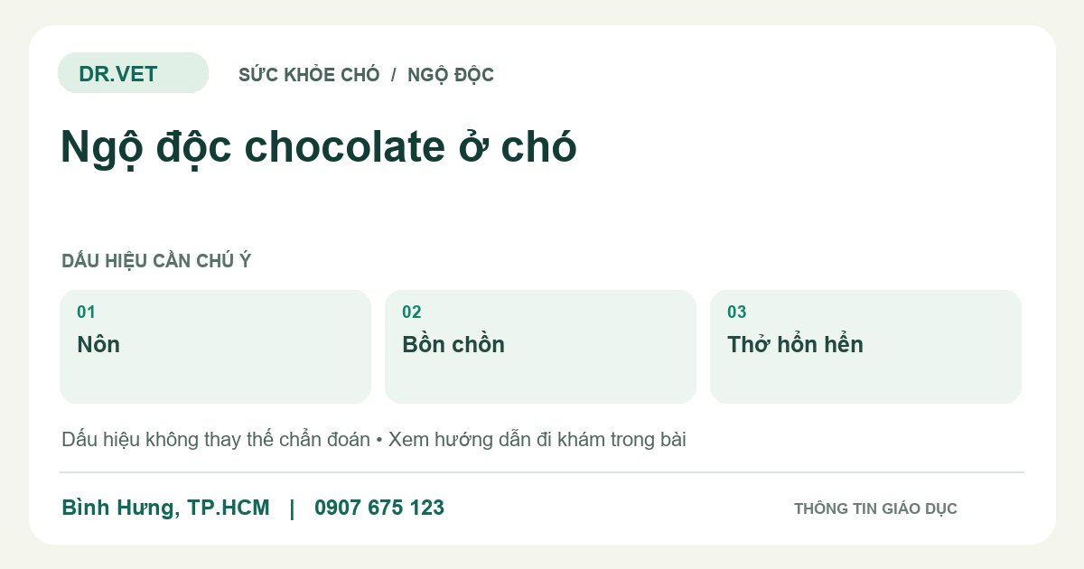Đồ họa giáo dục: Ngộ độc chocolate ở chó – nôn, bồn chồn, thở hổn hển. Không phải ảnh ca bệnh.