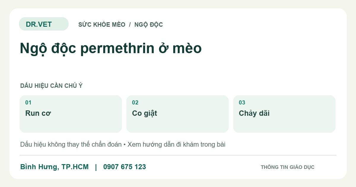 Đồ họa giáo dục: Ngộ độc permethrin ở mèo – run cơ, co giật, chảy dãi. Không phải ảnh ca bệnh.