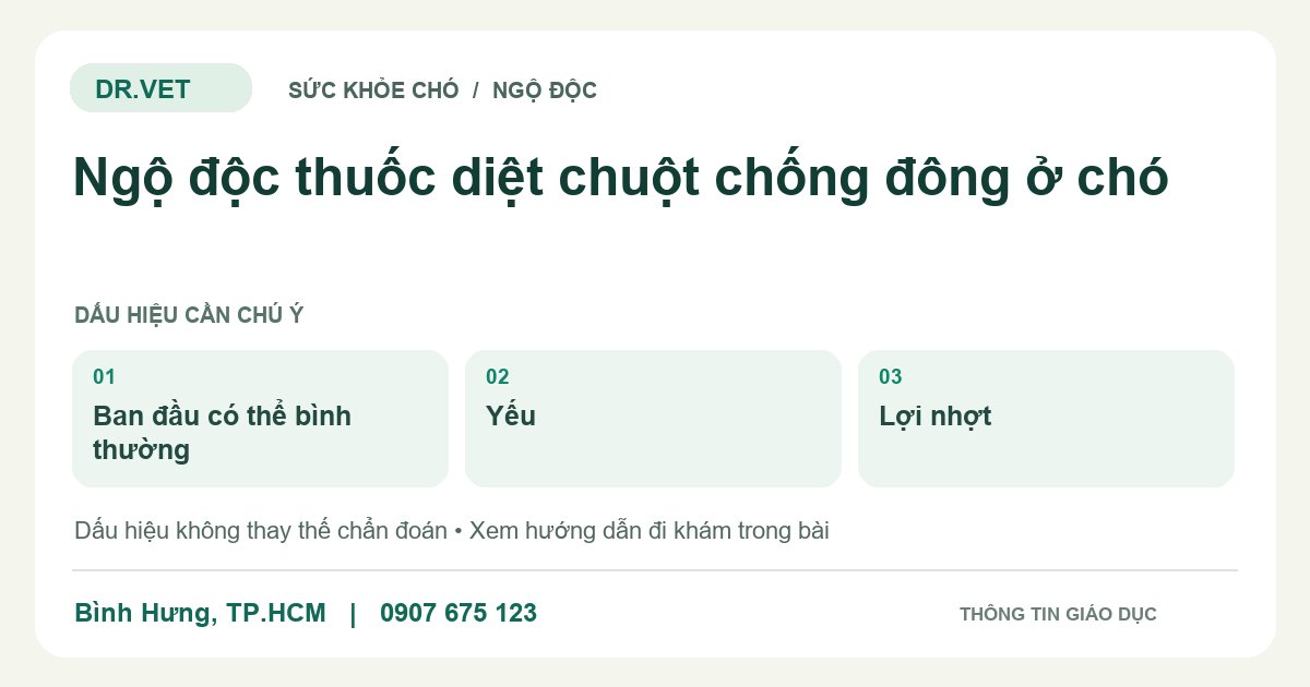 Đồ họa giáo dục: Ngộ độc thuốc diệt chuột chống đông ở chó – ban đầu có thể bình thường, yếu, lợi nhợt. Không phải ảnh ca bệnh.