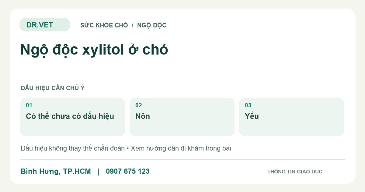 Đồ họa giáo dục: Ngộ độc xylitol ở chó – có thể chưa có dấu hiệu, nôn, yếu. Không phải ảnh ca bệnh.