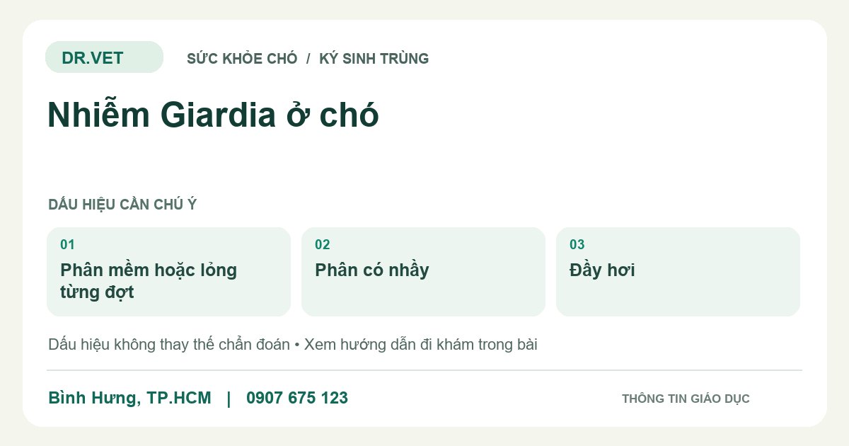 Đồ họa giáo dục: Nhiễm Giardia ở chó – phân mềm hoặc lỏng từng đợt, phân có nhầy, đầy hơi. Không phải ảnh ca bệnh.