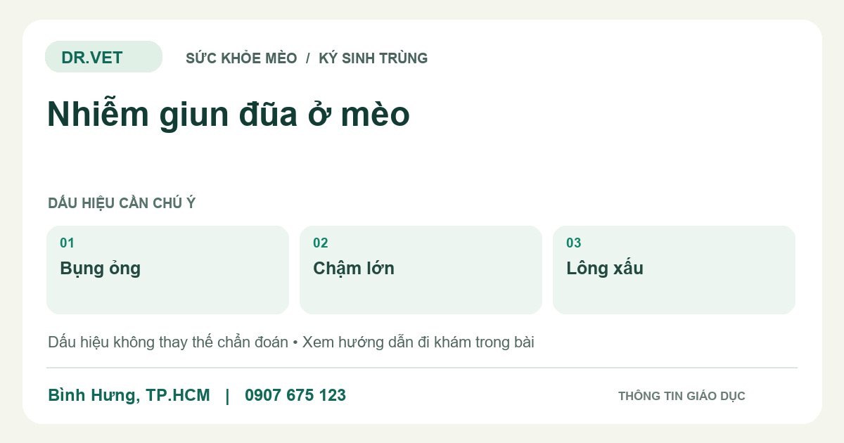 Đồ họa giáo dục: Nhiễm giun đũa ở mèo – bụng ỏng, chậm lớn, lông xấu. Không phải ảnh ca bệnh.