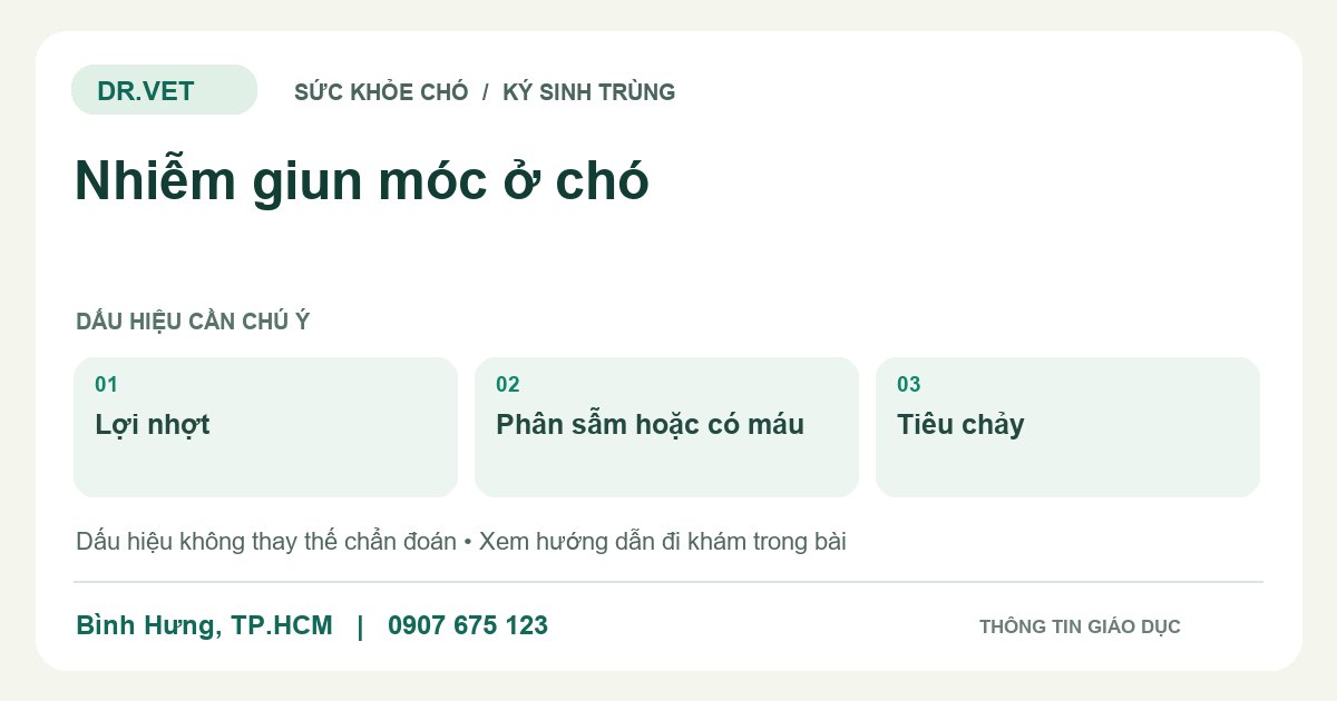 Đồ họa giáo dục: Nhiễm giun móc ở chó – lợi nhợt, phân sẫm hoặc có máu, tiêu chảy. Không phải ảnh ca bệnh.
