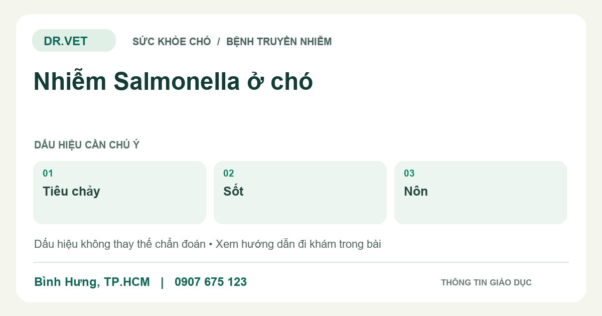 Đồ họa giáo dục: Nhiễm Salmonella ở chó – tiêu chảy, sốt, nôn. Không phải ảnh ca bệnh.
