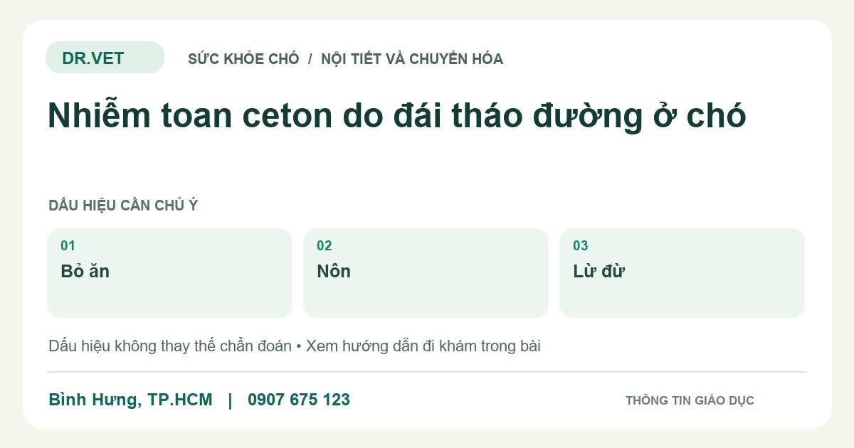 Đồ họa giáo dục: Nhiễm toan ceton do đái tháo đường ở chó – bỏ ăn, nôn, lừ đừ. Không phải ảnh ca bệnh.