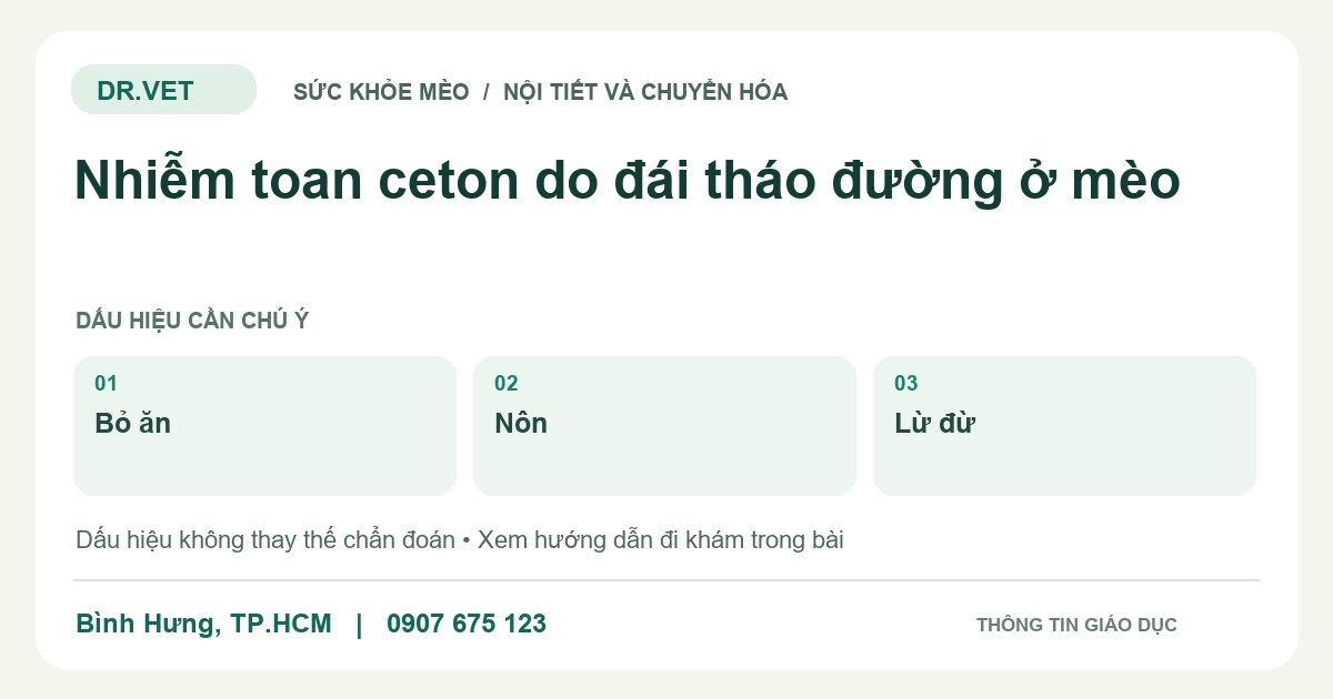 Đồ họa giáo dục: Nhiễm toan ceton do đái tháo đường ở mèo – bỏ ăn, nôn, lừ đừ. Không phải ảnh ca bệnh.