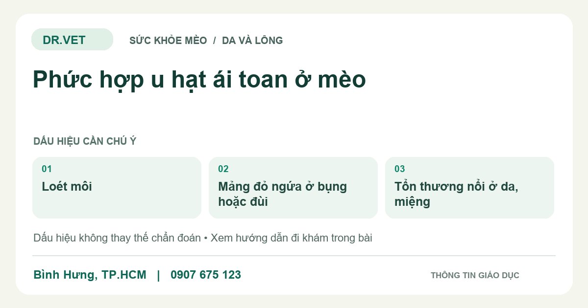 Đồ họa giáo dục: Phức hợp u hạt ái toan ở mèo – loét môi, mảng đỏ ngứa ở bụng hoặc đùi, tổn thương nổi ở da, miệng. Không phải ảnh ca bệnh.