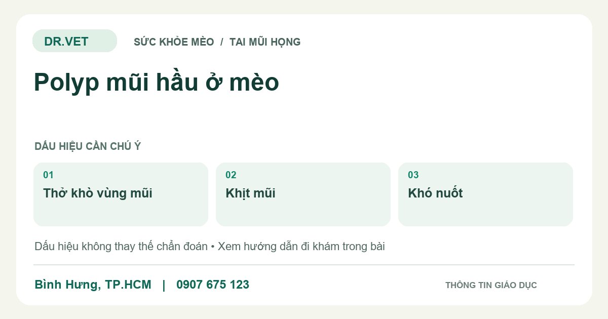 Đồ họa giáo dục: Polyp mũi hầu ở mèo – thở khò vùng mũi, khịt mũi, khó nuốt. Không phải ảnh ca bệnh.