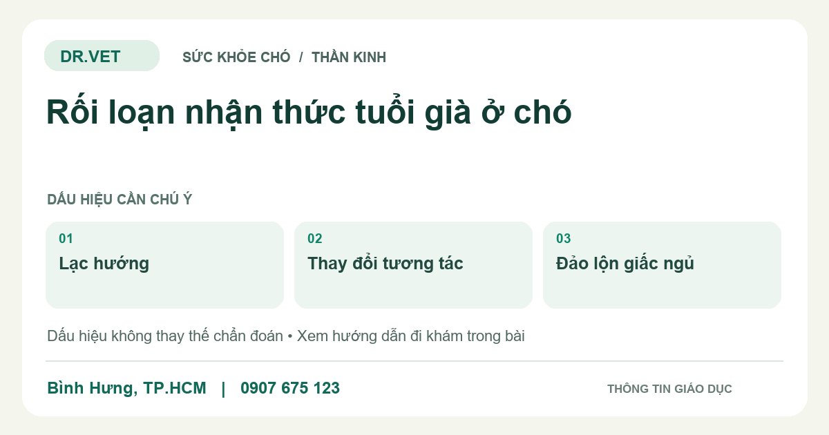 Đồ họa giáo dục: Rối loạn nhận thức tuổi già ở chó – lạc hướng, thay đổi tương tác, đảo lộn giấc ngủ. Không phải ảnh ca bệnh.