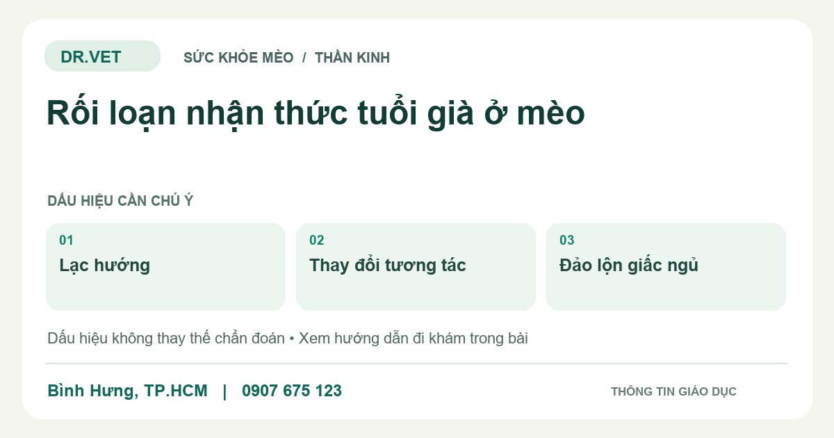 Đồ họa giáo dục: Rối loạn nhận thức tuổi già ở mèo – lạc hướng, thay đổi tương tác, đảo lộn giấc ngủ. Không phải ảnh ca bệnh.