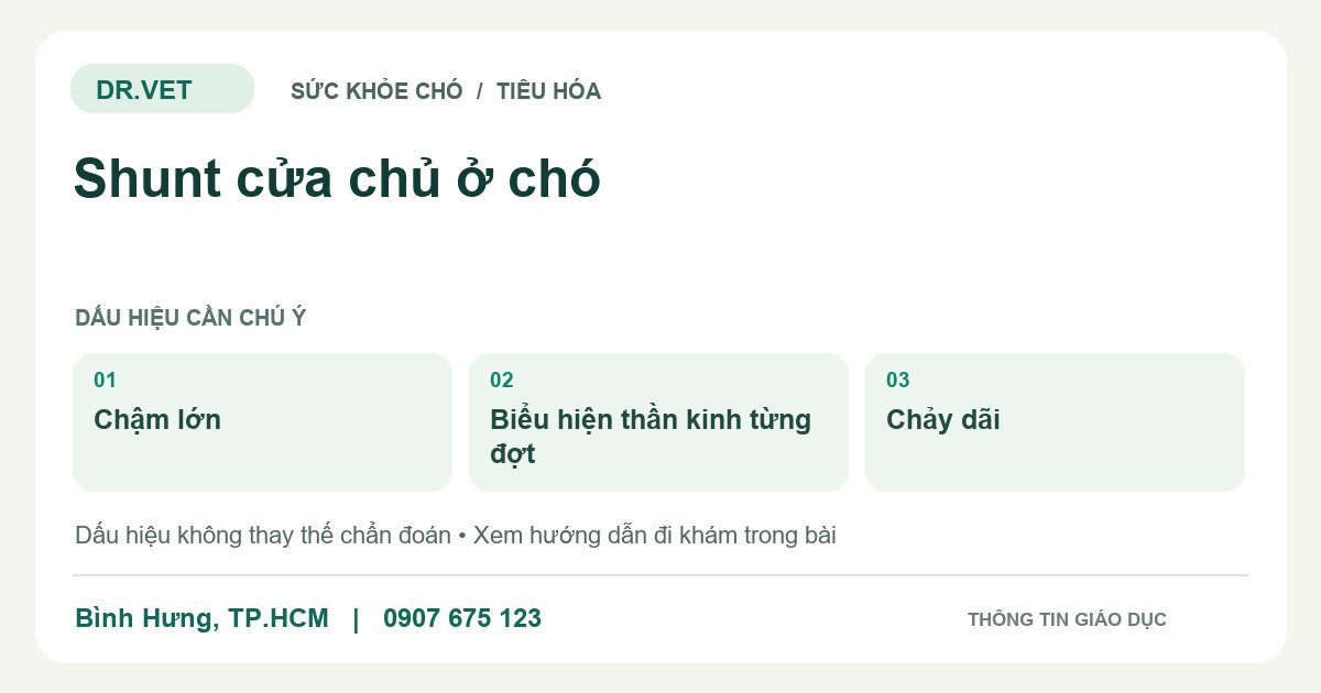 Đồ họa giáo dục: Shunt cửa chủ ở chó – chậm lớn, biểu hiện thần kinh từng đợt, chảy dãi. Không phải ảnh ca bệnh.