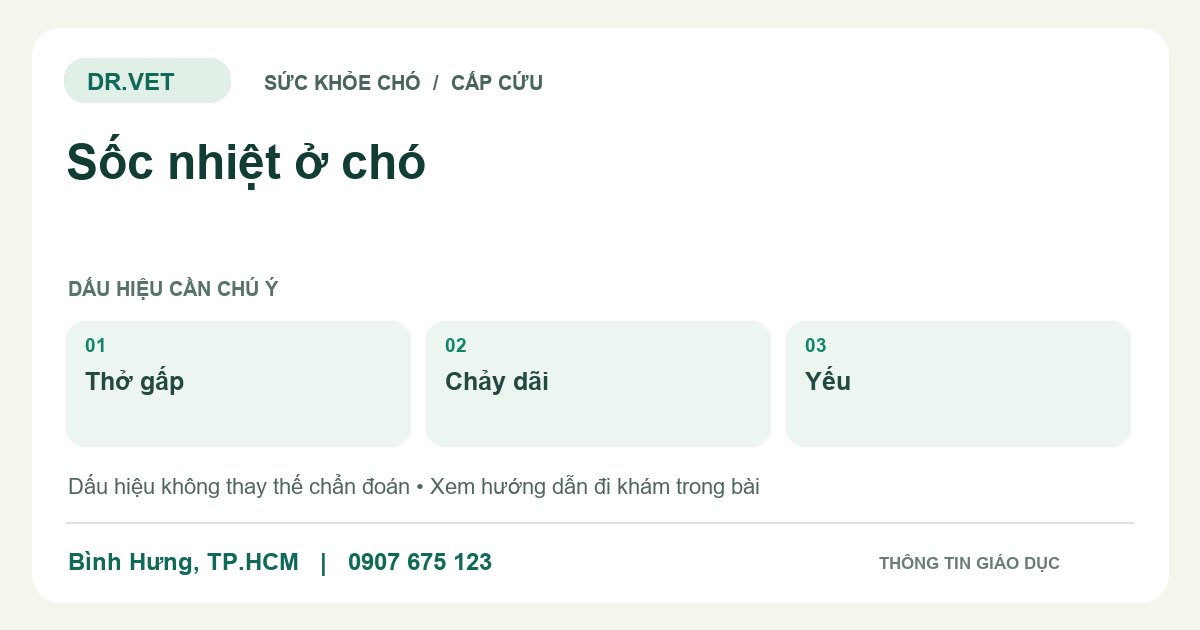 Đồ họa giáo dục: Sốc nhiệt ở chó – thở gấp, chảy dãi, yếu. Không phải ảnh ca bệnh.