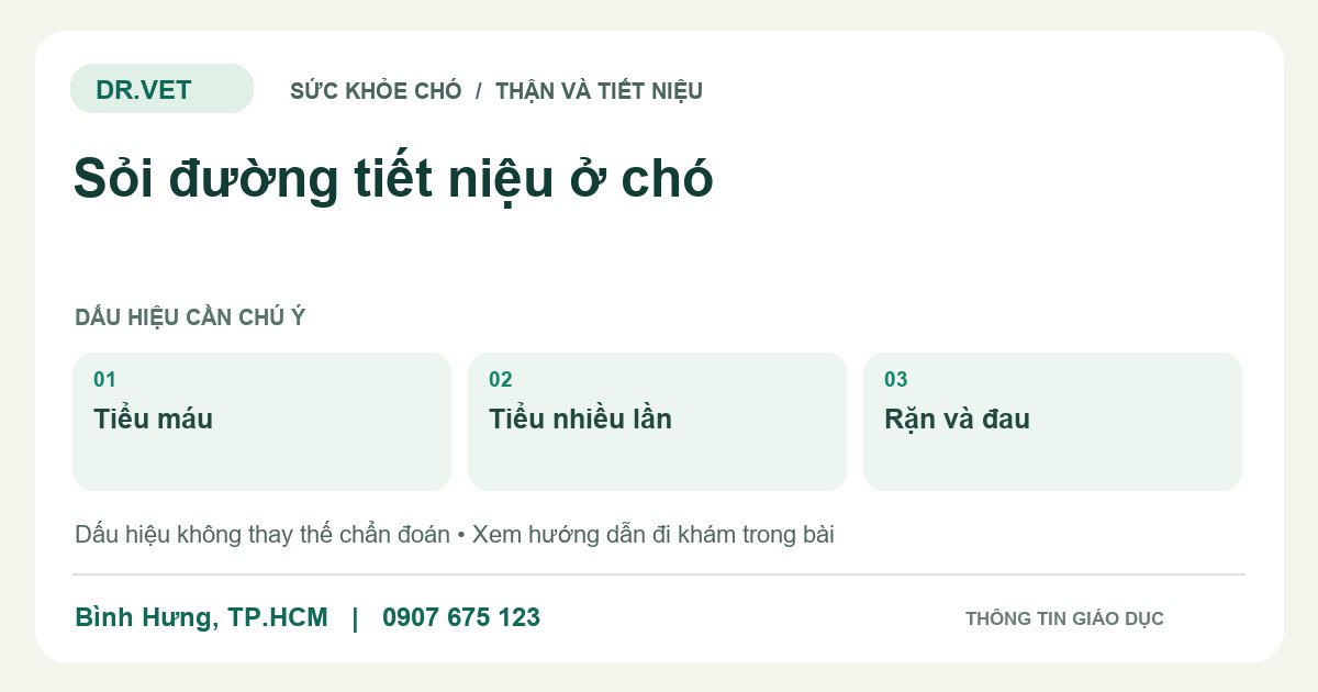 Đồ họa giáo dục: Sỏi đường tiết niệu ở chó – tiểu máu, tiểu nhiều lần, rặn và đau. Không phải ảnh ca bệnh.