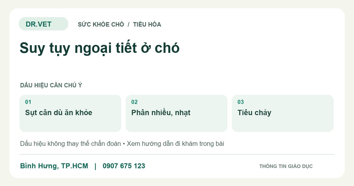 Đồ họa giáo dục: Suy tụy ngoại tiết ở chó – sụt cân dù ăn khỏe, phân nhiều, nhạt, tiêu chảy. Không phải ảnh ca bệnh.