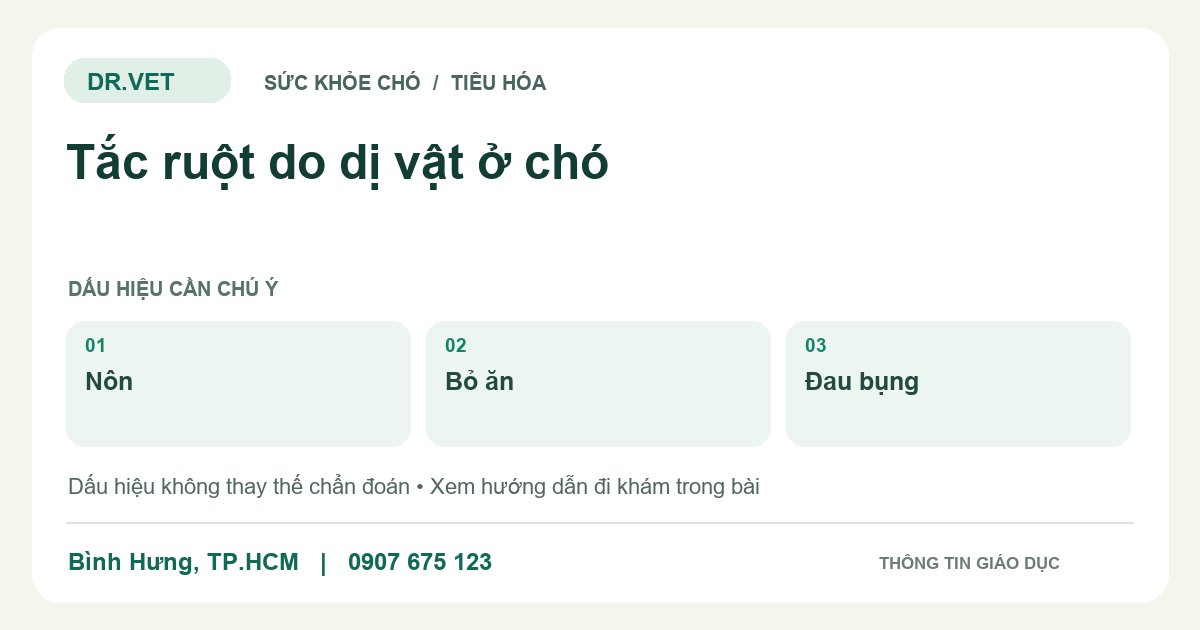 Đồ họa giáo dục: Tắc ruột do dị vật ở chó – nôn, bỏ ăn, đau bụng. Không phải ảnh ca bệnh.