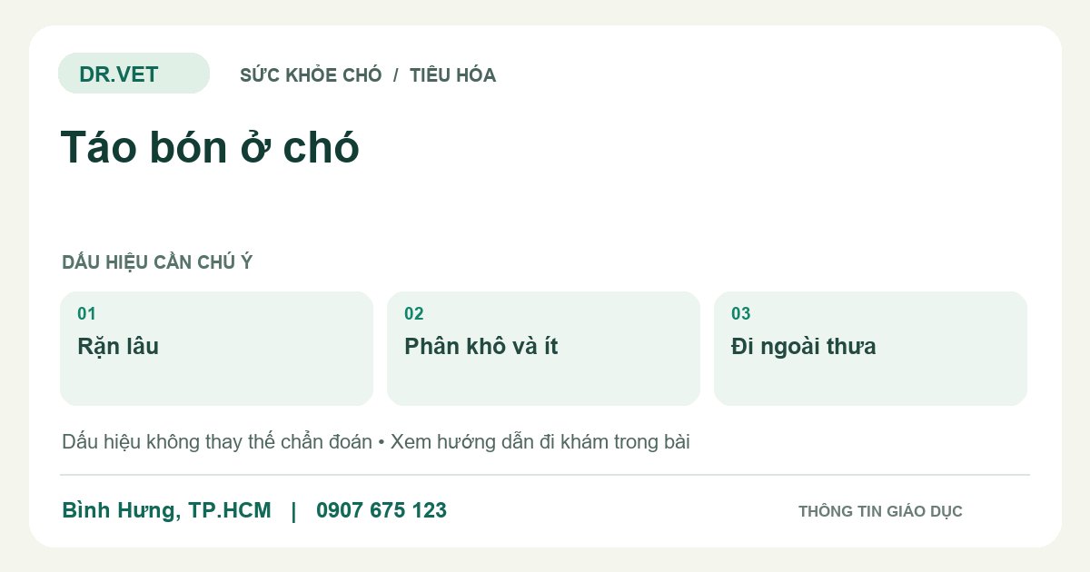 Đồ họa giáo dục: Táo bón ở chó – rặn lâu, phân khô và ít, đi ngoài thưa. Không phải ảnh ca bệnh.