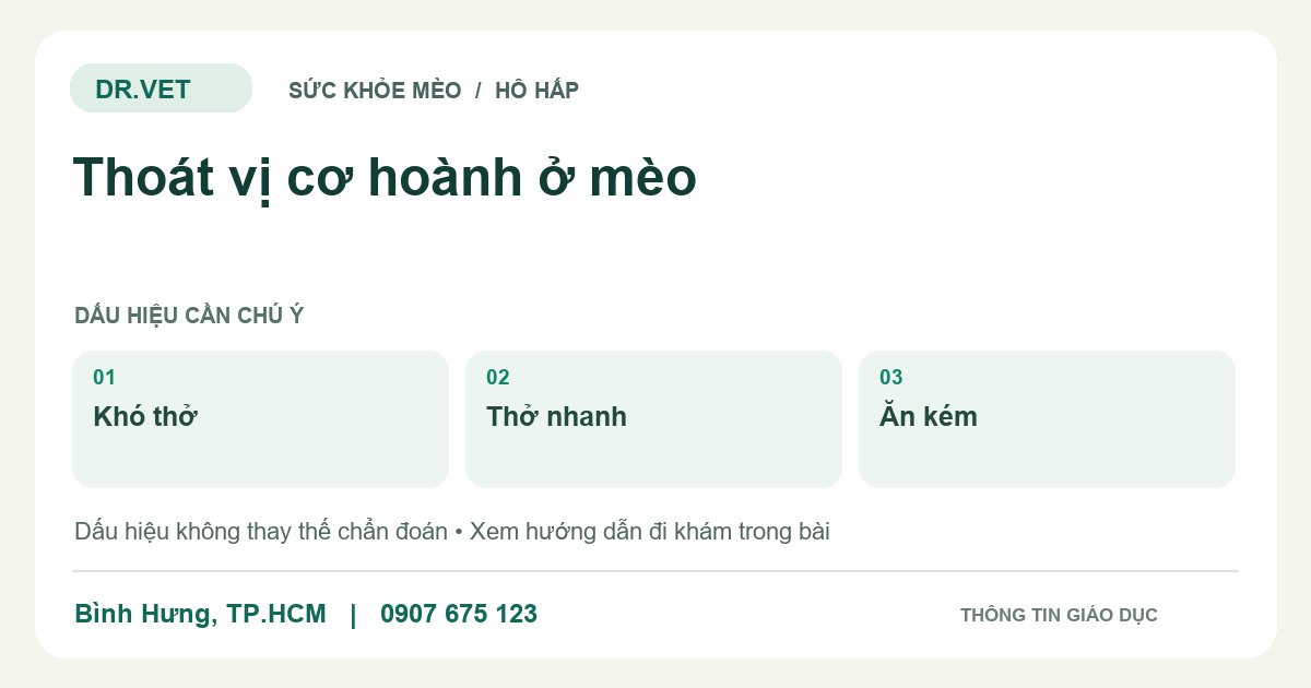 Đồ họa giáo dục: Thoát vị cơ hoành ở mèo – khó thở, thở nhanh, ăn kém. Không phải ảnh ca bệnh.