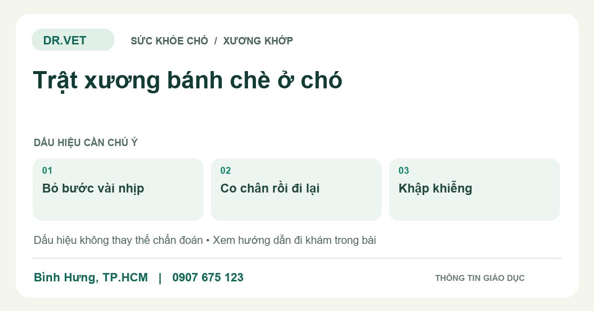 Đồ họa giáo dục: Trật xương bánh chè ở chó – bỏ bước vài nhịp, co chân rồi đi lại, khập khiễng. Không phải ảnh ca bệnh.