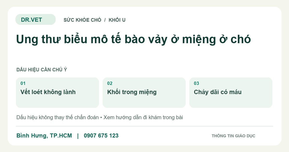 Đồ họa giáo dục: Ung thư biểu mô tế bào vảy ở miệng ở chó – vết loét không lành, khối trong miệng, chảy dãi có máu. Không phải ảnh ca bệnh.
