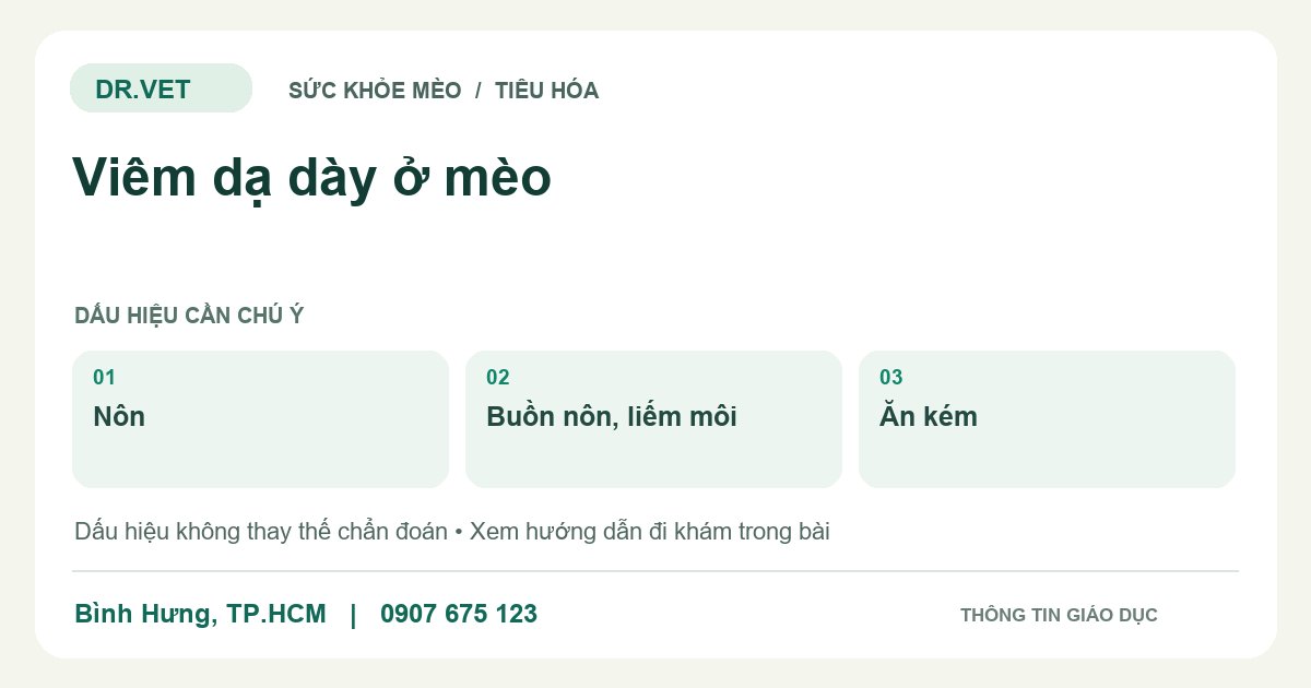 Đồ họa giáo dục: Viêm dạ dày ở mèo – nôn, buồn nôn, liếm môi, ăn kém. Không phải ảnh ca bệnh.