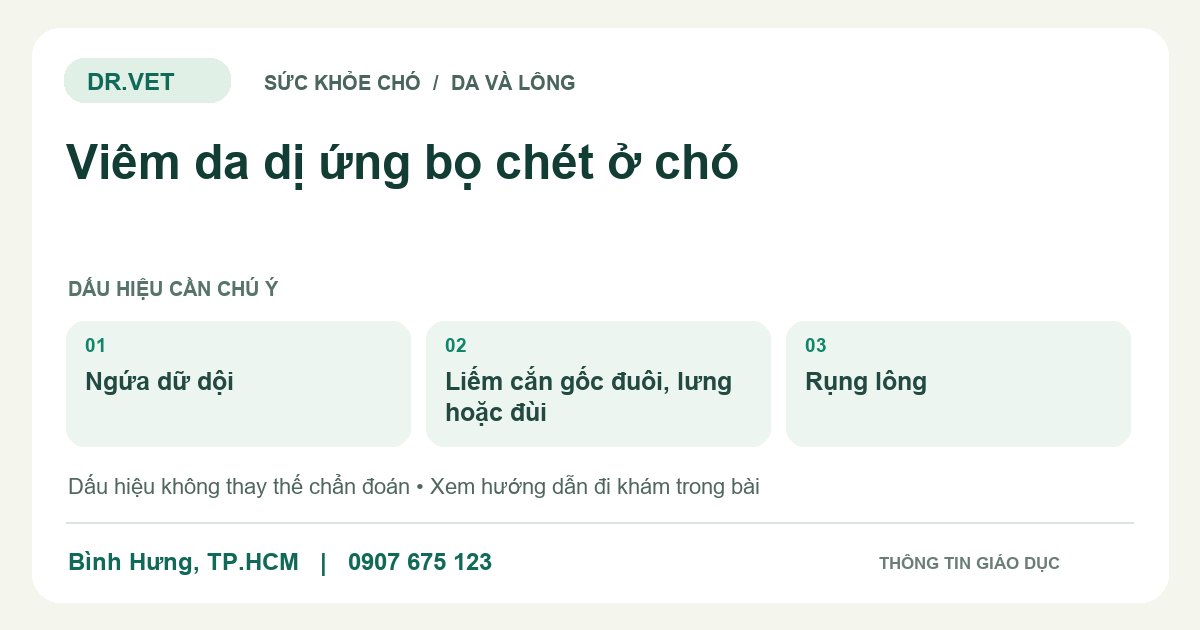 Đồ họa giáo dục: Viêm da dị ứng bọ chét ở chó – ngứa dữ dội, liếm cắn gốc đuôi, lưng hoặc đùi, rụng lông. Không phải ảnh ca bệnh.