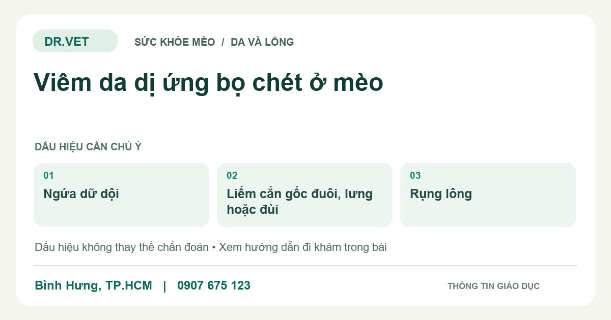 Đồ họa giáo dục: Viêm da dị ứng bọ chét ở mèo – ngứa dữ dội, liếm cắn gốc đuôi, lưng hoặc đùi, rụng lông. Không phải ảnh ca bệnh.