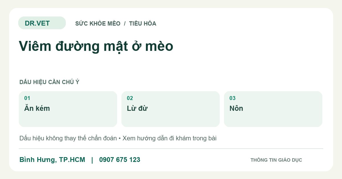 Đồ họa giáo dục: Viêm đường mật ở mèo – ăn kém, lừ đừ, nôn. Không phải ảnh ca bệnh.