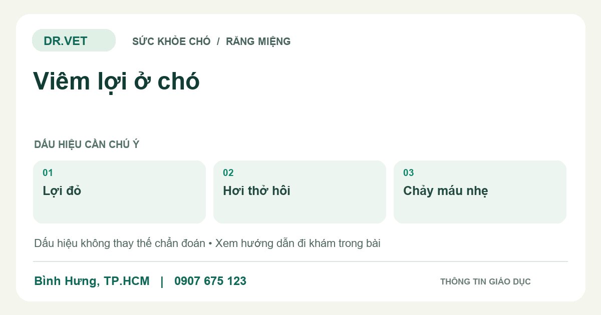 Đồ họa giáo dục: Viêm lợi ở chó – lợi đỏ, hơi thở hôi, chảy máu nhẹ. Không phải ảnh ca bệnh.